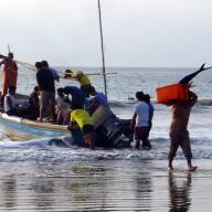 Gastronomy and Fishing