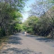 History of the Puerto López